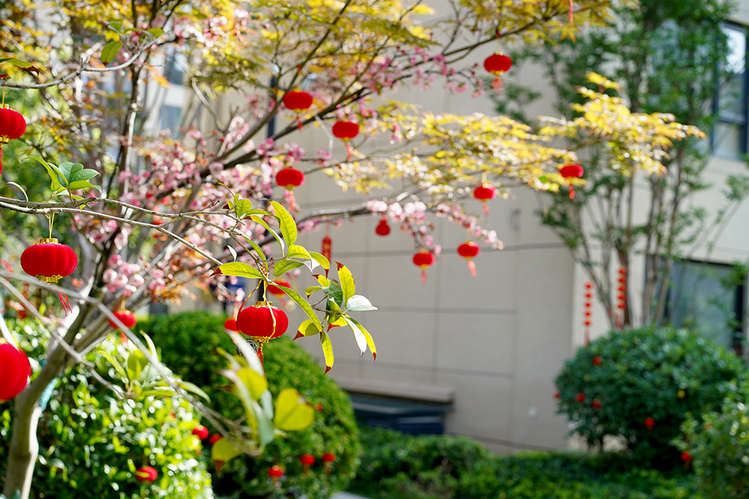 20220701115851719.jpeg 20220701115851719.jpeg